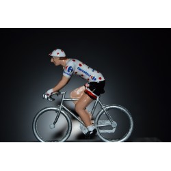 Warren Barguil "maillot a pois 2017" Sunweb - petit cycliste en acier