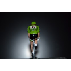 Michael Matthews "maillot vert2017" Sunweb - petit cycliste en acier