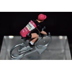 Natura4ever Roubaix Saison 2020 figurine petit cycliste 