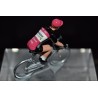 Natura4ever Roubaix Saison 2020 figurine petit cycliste 