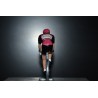 Natura4ever Roubaix Saison 2020 figurine petit cycliste 
