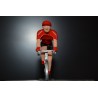 Sunweb Saison 2020 figurine petit cycliste 