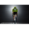 Peter Sagan "maillot vert 2019" Bora figurine petit cycliste 