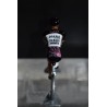 Diana Colnago Animex figurine petit cycliste 