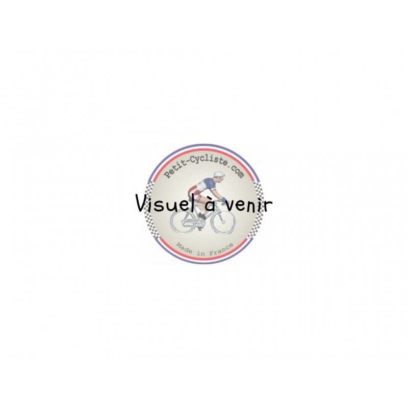 Caja Rural Saison 2021 figurine petit cycliste