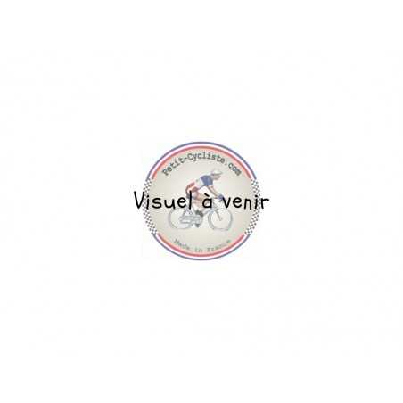 Caja Rural Saison 2021 figurine petit cycliste