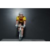 Doniselli 1955 - figurine cycliste
