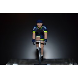 Wanty Groupe Gobert 2017 - Metal cycling figure