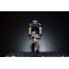 Wanty Groupe Gobert 2017 - Metal cycling figure