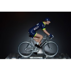 Wanty Groupe Gobert 2017 - Metal cycling figure