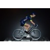 Wanty Groupe Gobert 2017 - Metal cycling figure