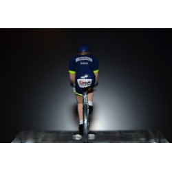 Wanty Groupe Gobert 2017 - Metal cycling figure
