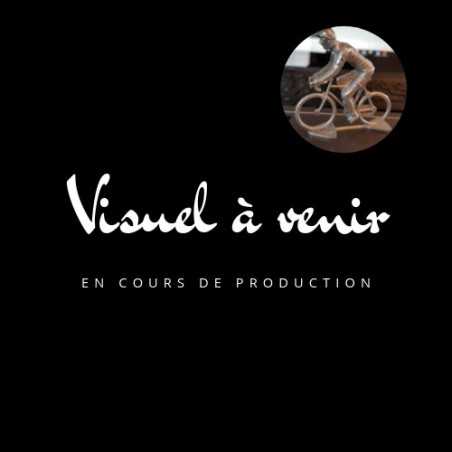 Figurine Cycliste Team Flanders – Baloise 2026 | Collection