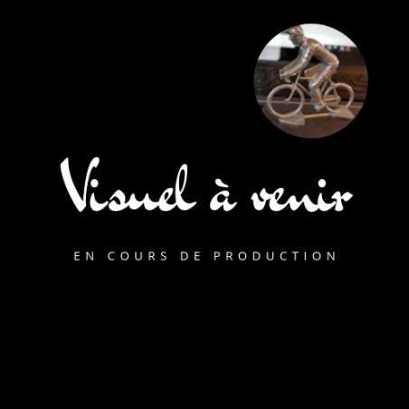 GROUPAMA - FDJ UNITED 2026 - figurine petit cycliste