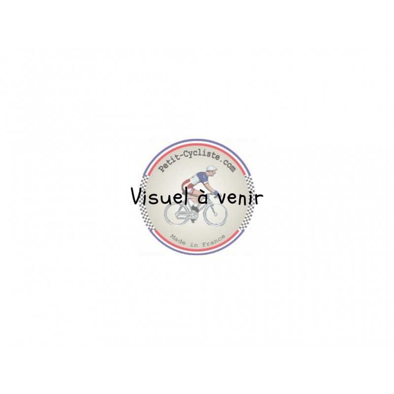 Figurine Danny Van Poppel Champion Pays-Bas 2026