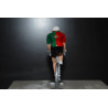 Portugal - figurine cycliste champion national