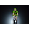 Arnaud Demare "maillot vert 2017" FDJ- petit cycliste en acier 