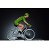Arnaud Demare "maillot vert 2017" FDJ- petit cycliste en acier 